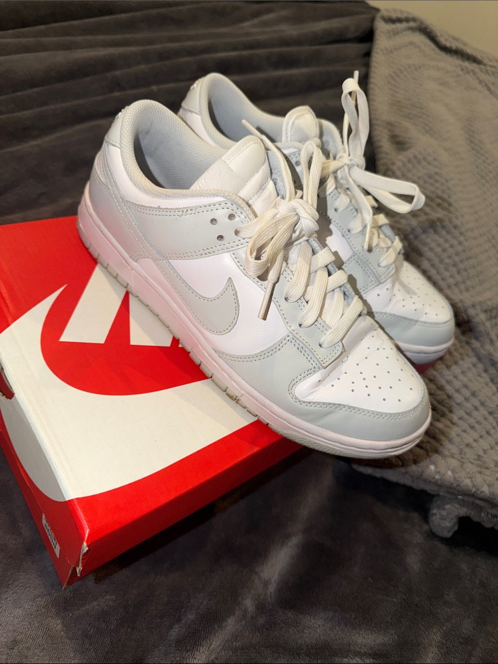 Nike Dunks women’s